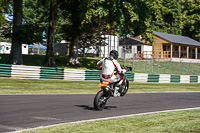 Lower Group Orange Bikes